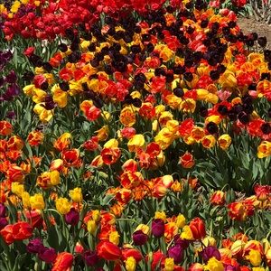 Meet your Posher, Becky